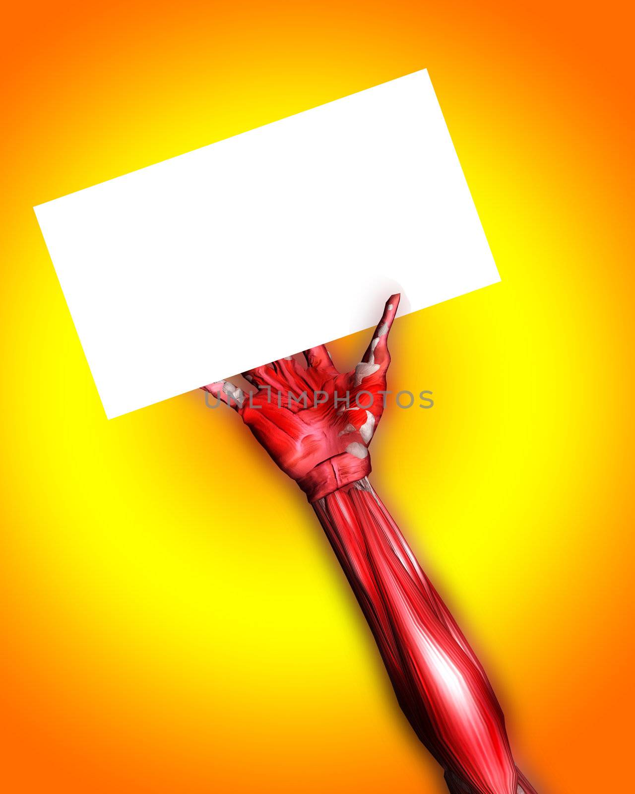 A skinless arm for medical or Halloween concepts. Holding a blank customisable sign.