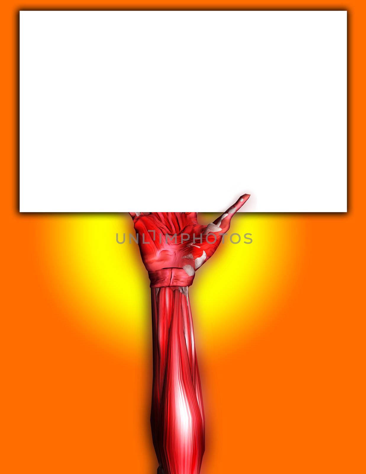 A skinless arm for medical or Halloween concepts. Holding a blank customisable sign.