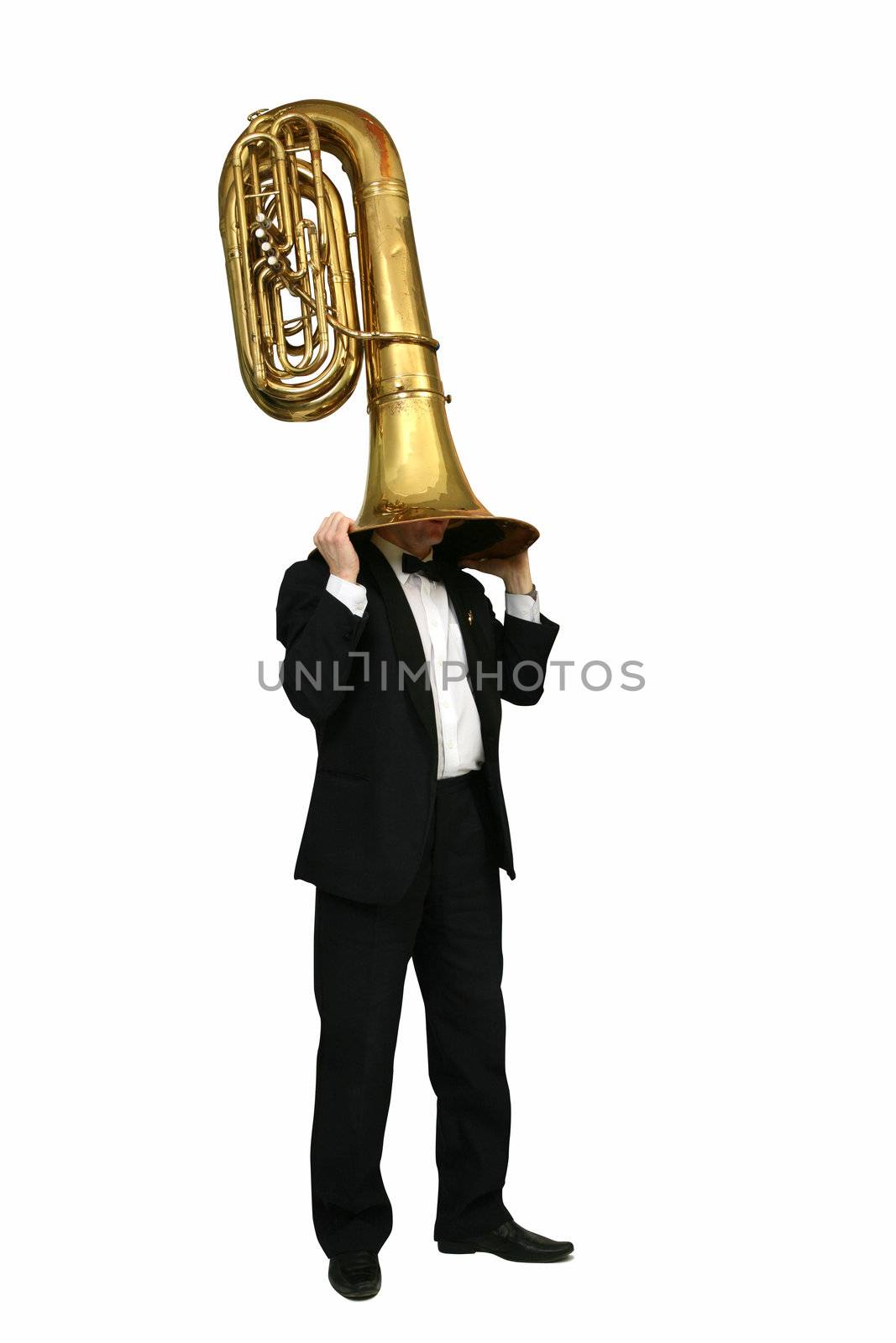 musician with a wind musical instrument tuba