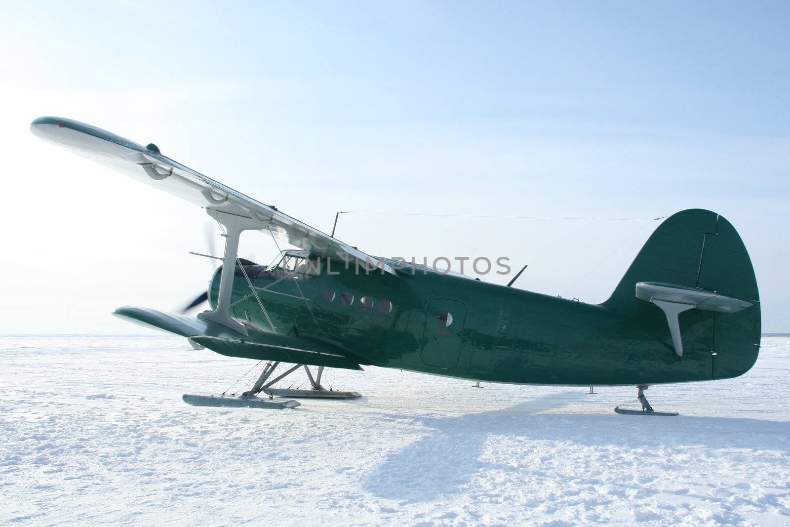 plane with skis on a  the snow (AN-2)