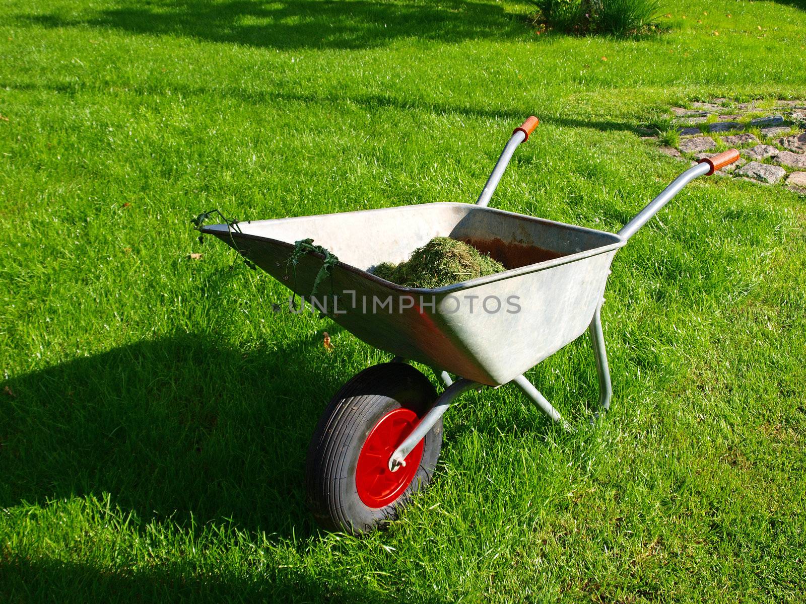 Gardening season - green lawn with wheelbarrow 