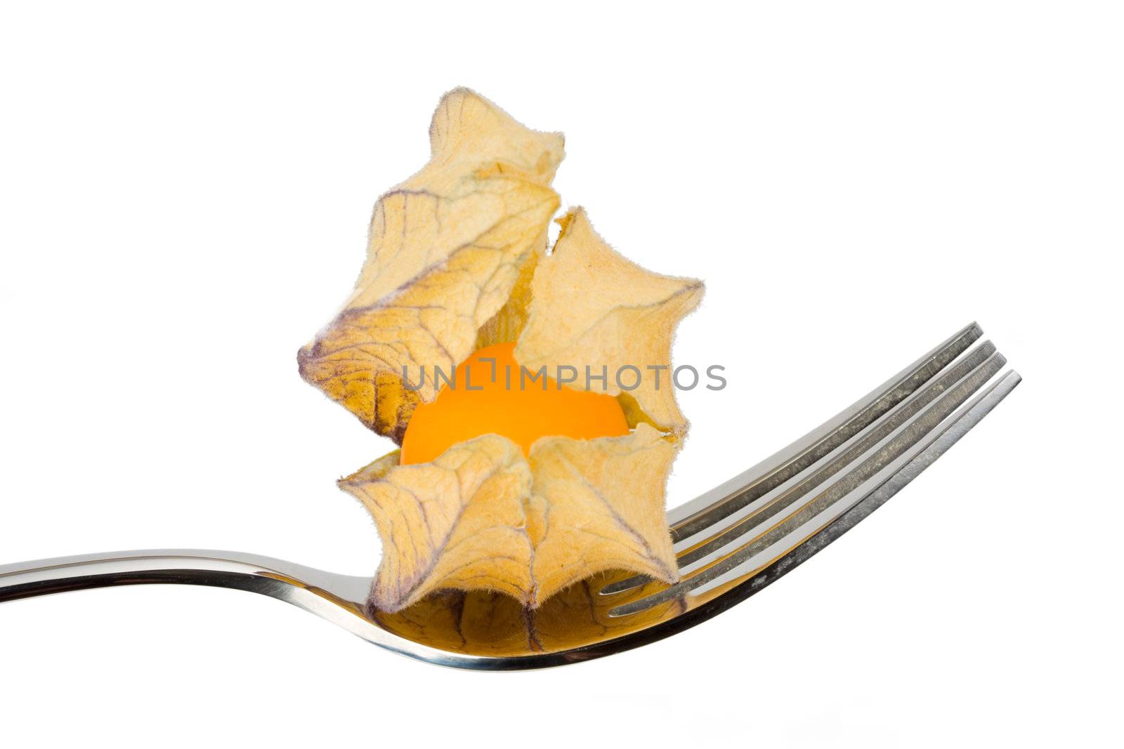 cape gooseberry on a fork over white background by bernjuer