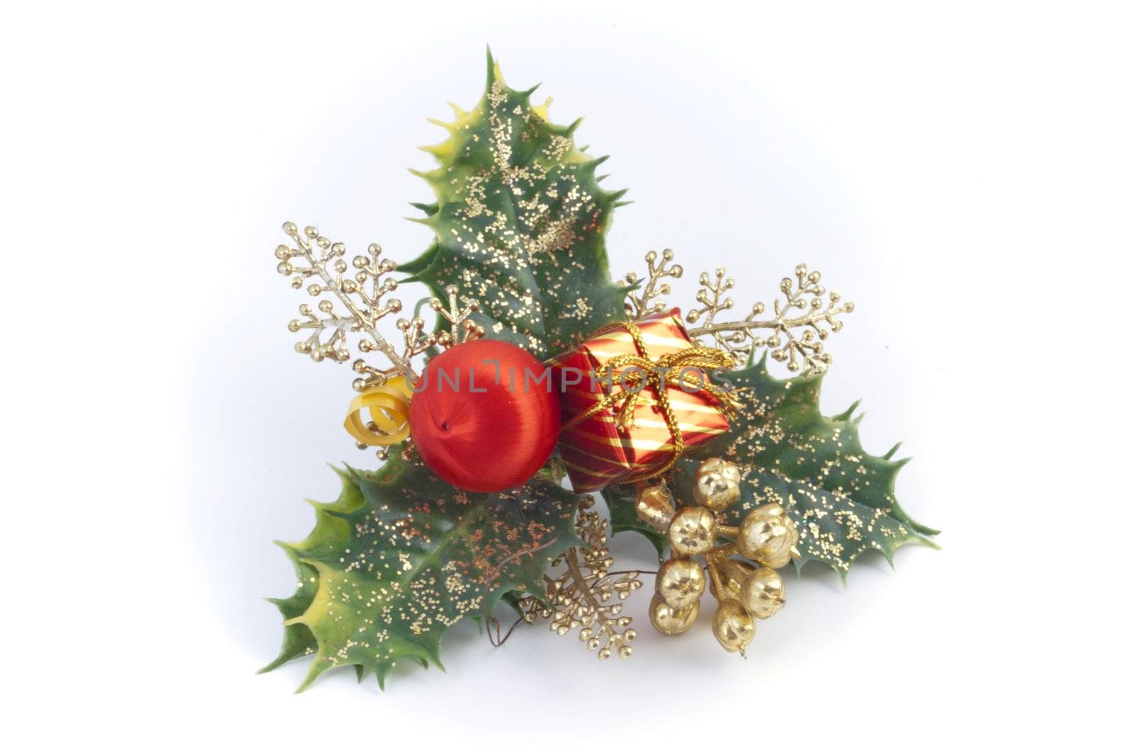 Holly decoration by rigamondis