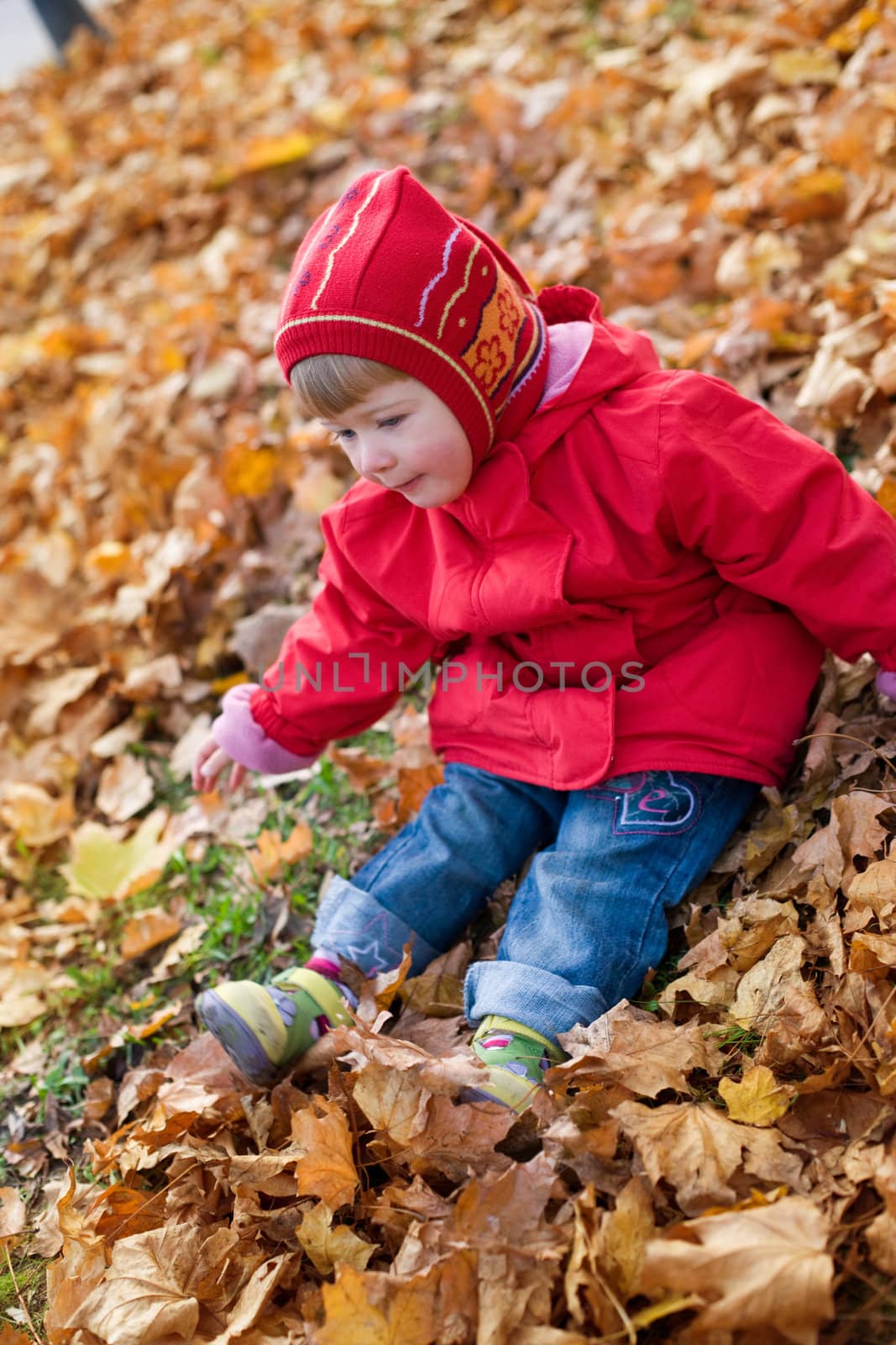 people series: little girl play with leaf