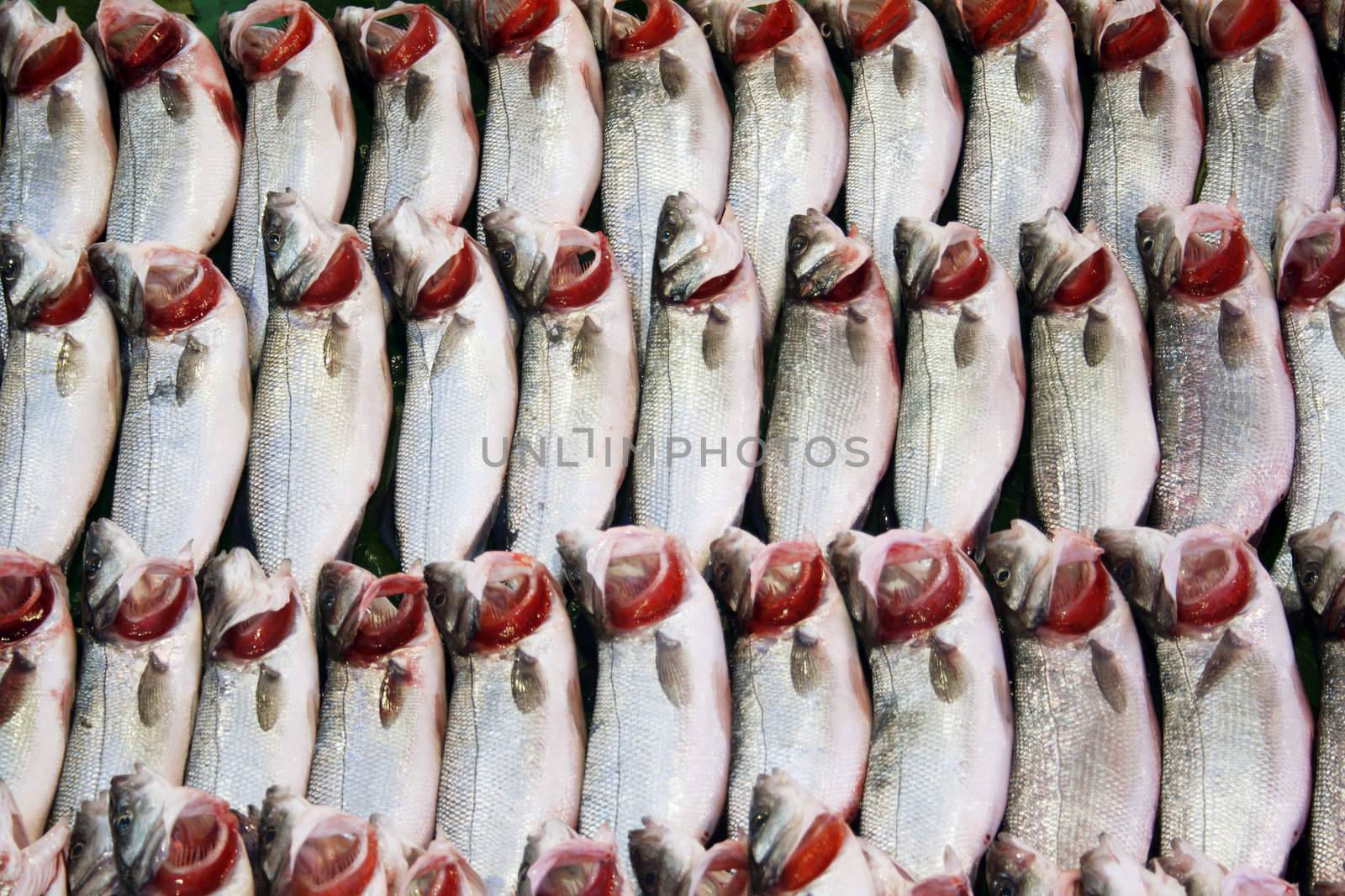 Fish Market. Background made from fresh raw fish