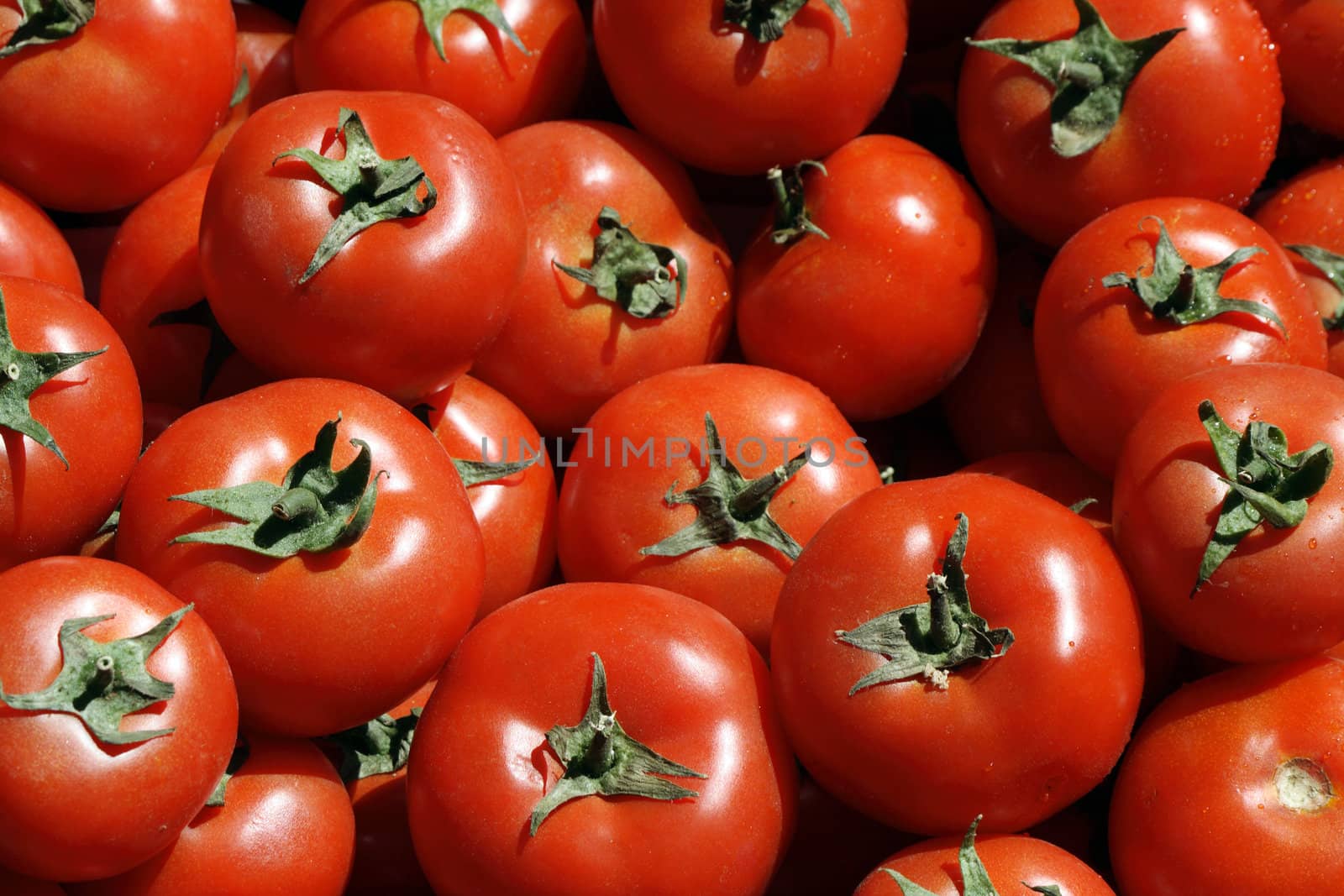 Background made from lot of red fresh tomatoes