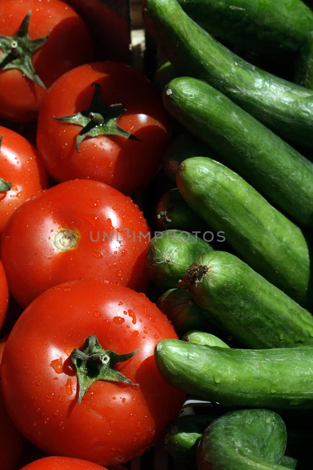 Background made from lot of fresh tomatoes and cucumbers