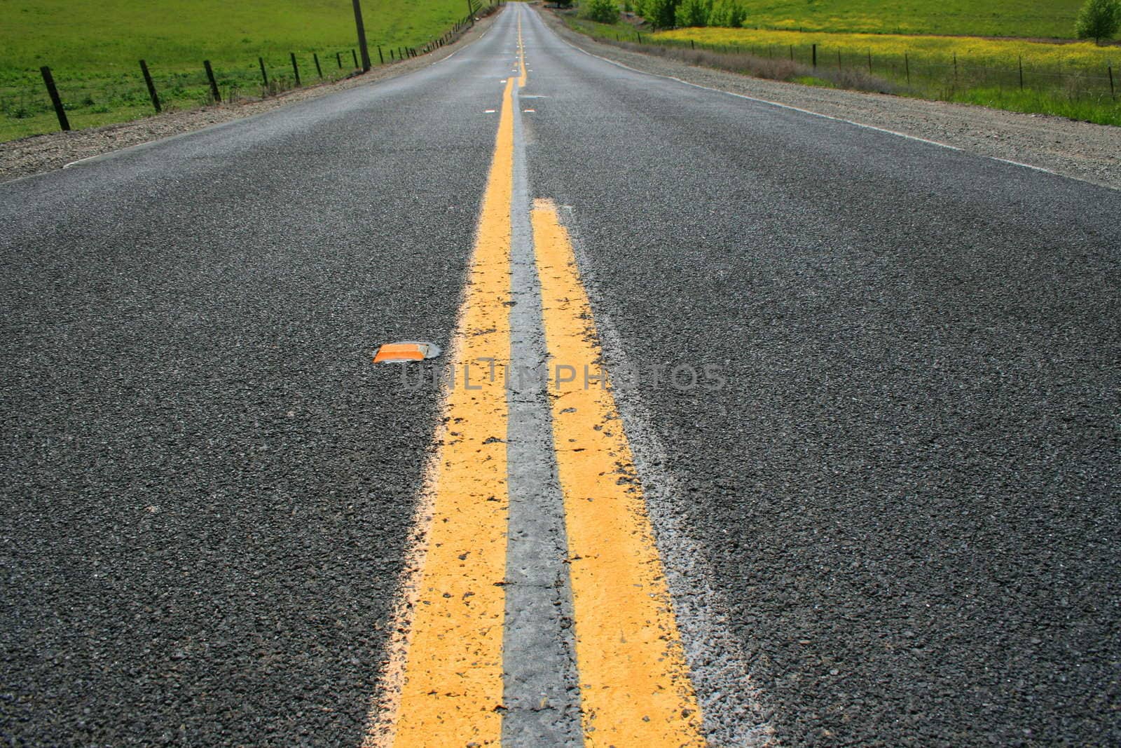 Long infinite road on a sunny day.
