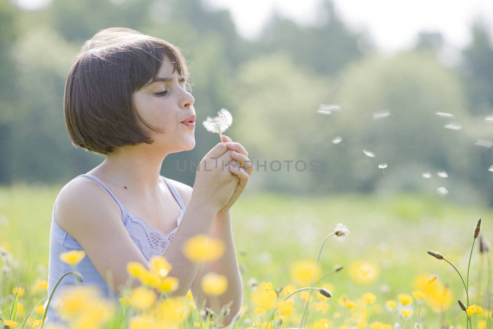 child blowing dandelion2956 by gemphotography