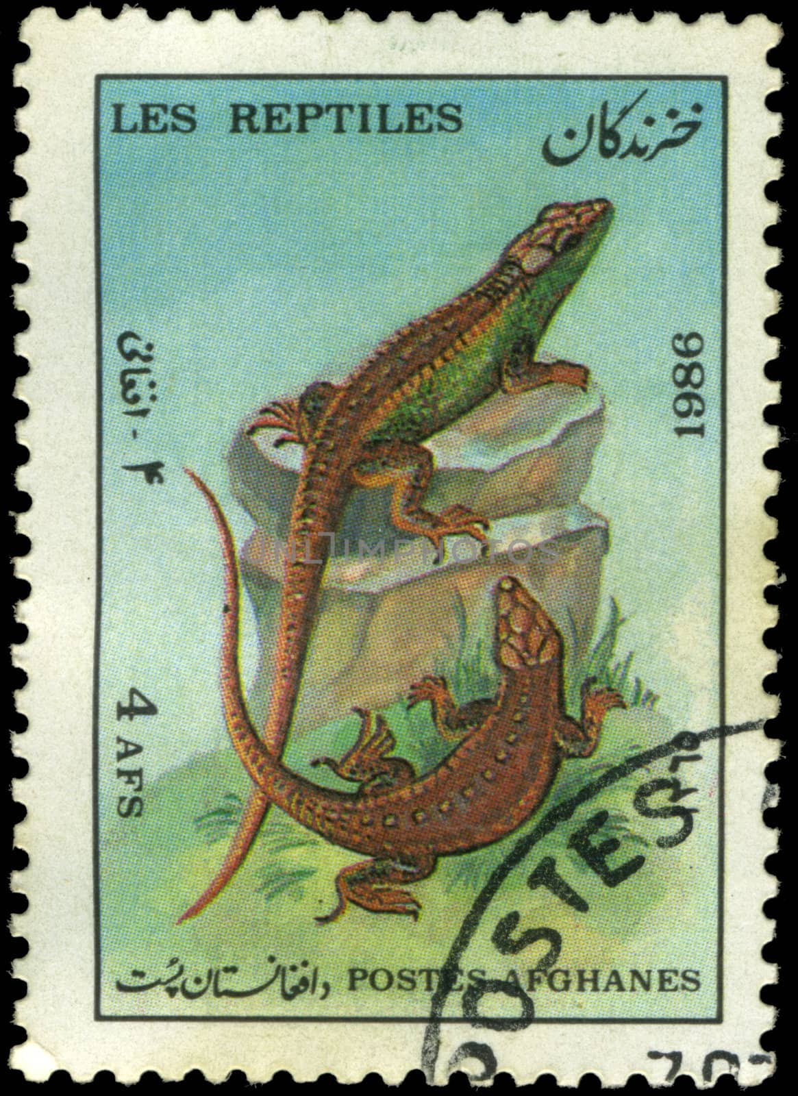 Afghan Stamp 1986  by Nemo1024