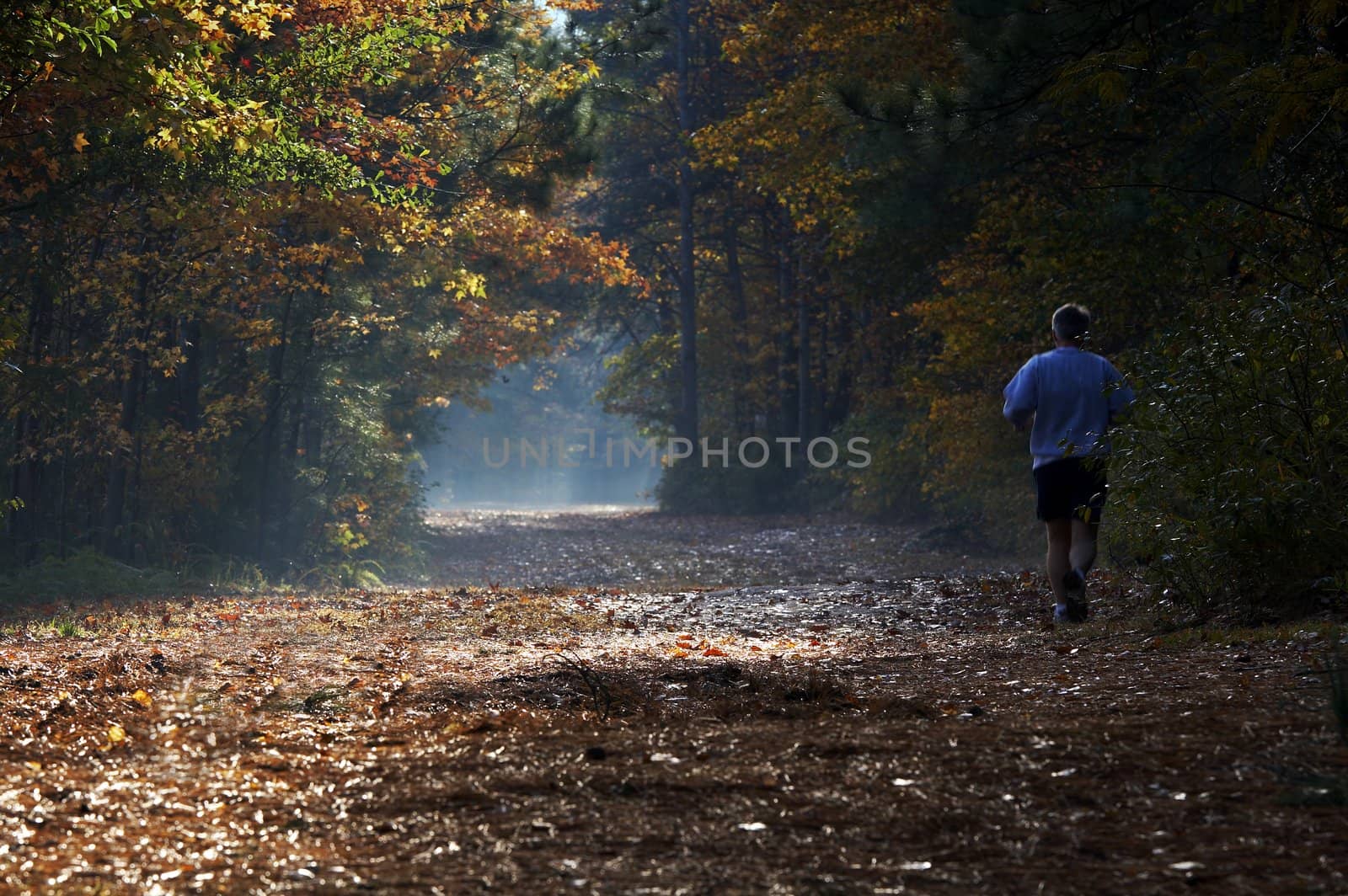 a picture of sunlight falling on a fall trail as a man runs