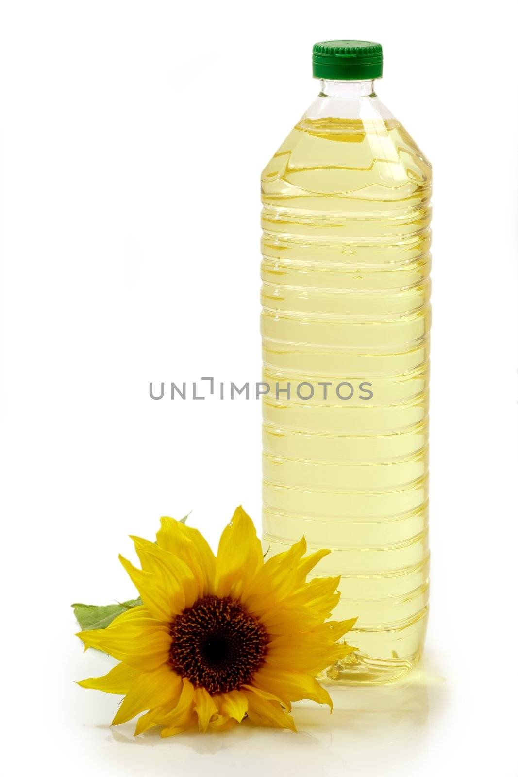 Cooking oil in a plastic bottle with sunflower on white background