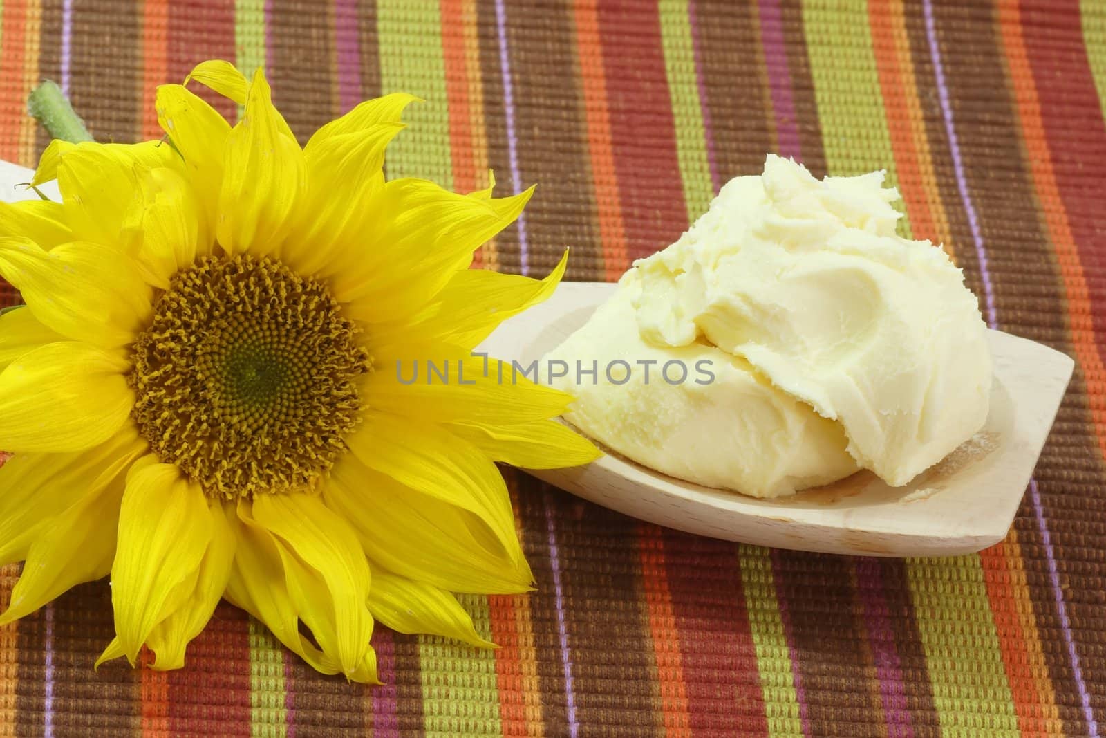 Vegetable oleo on a wooden spoon with sunflower