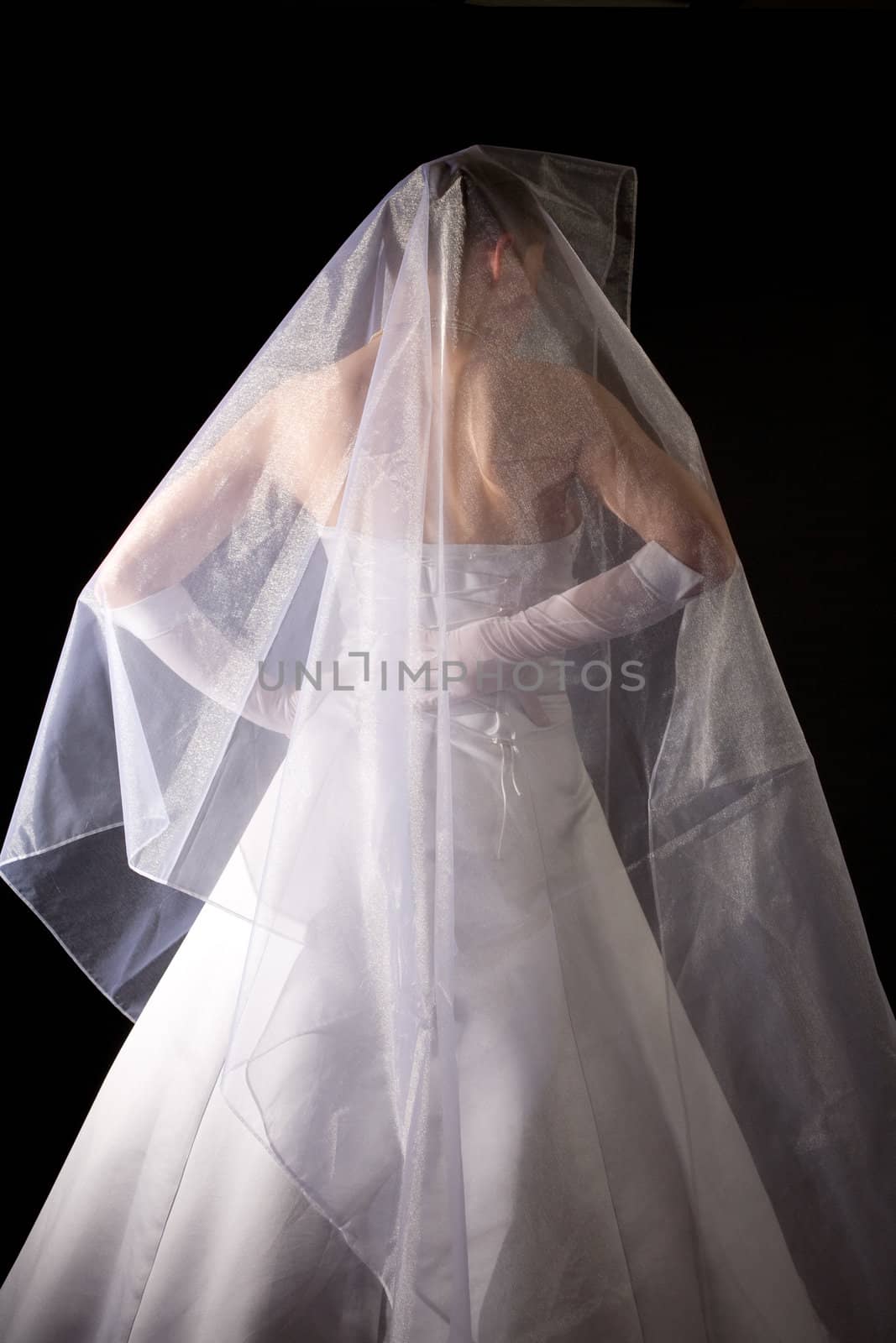 young women in the veil and white dress