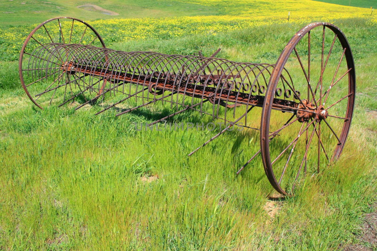 Close up of an old farm plow.
