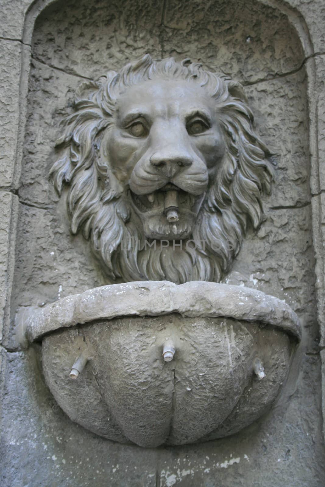 Lion Head Fountain by MichaelFelix