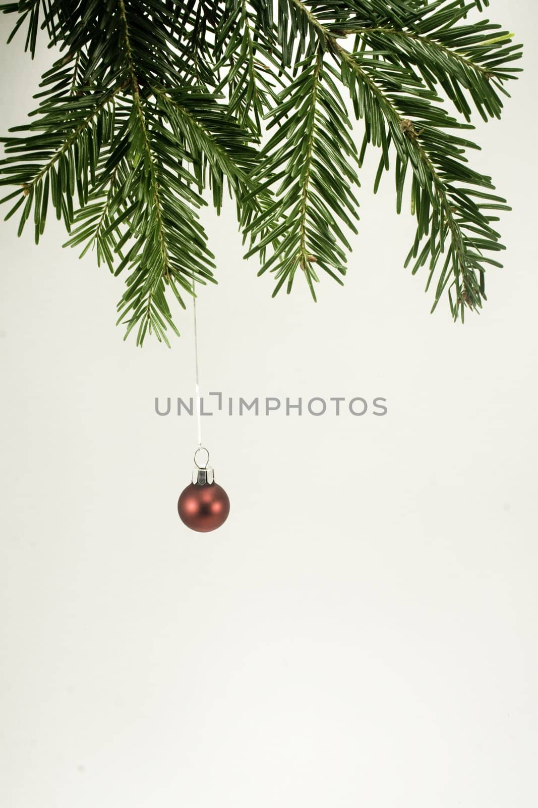 Christmas ornament by timscottrom