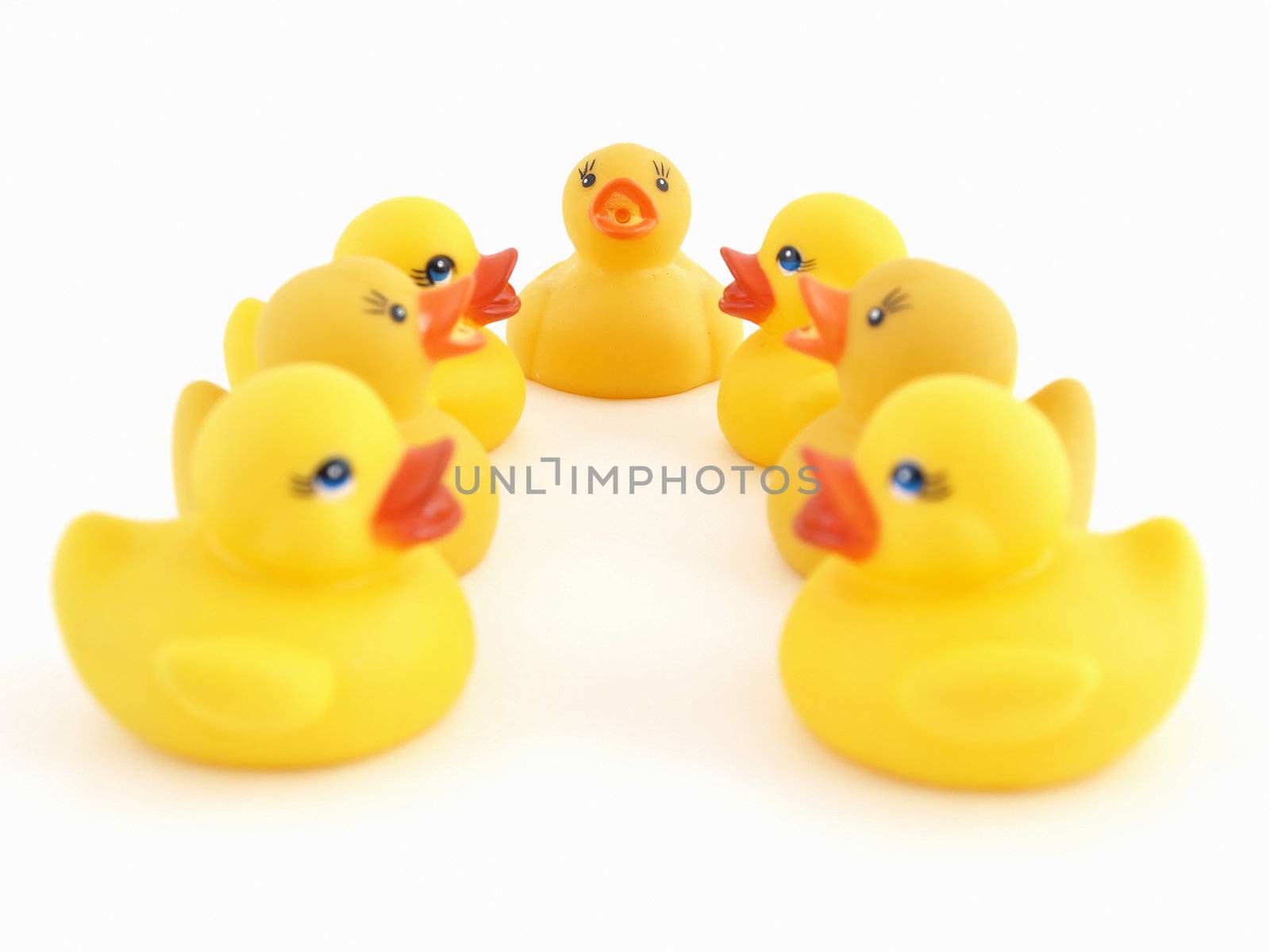 Cute yellow rubber ducks assembled in a horseshoe pattern on a white background.