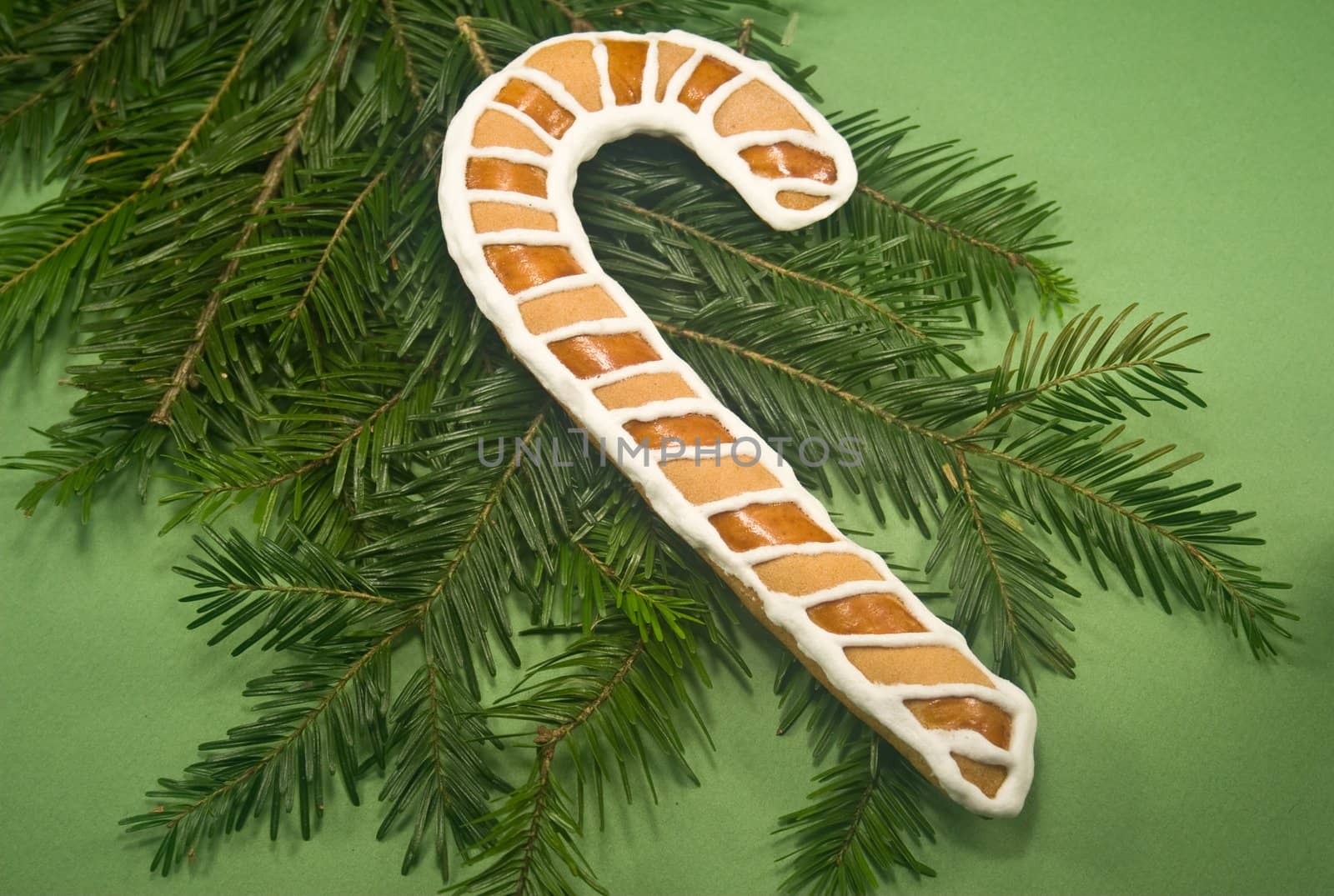 Candy cane cookie with fir branch isolated on green paper