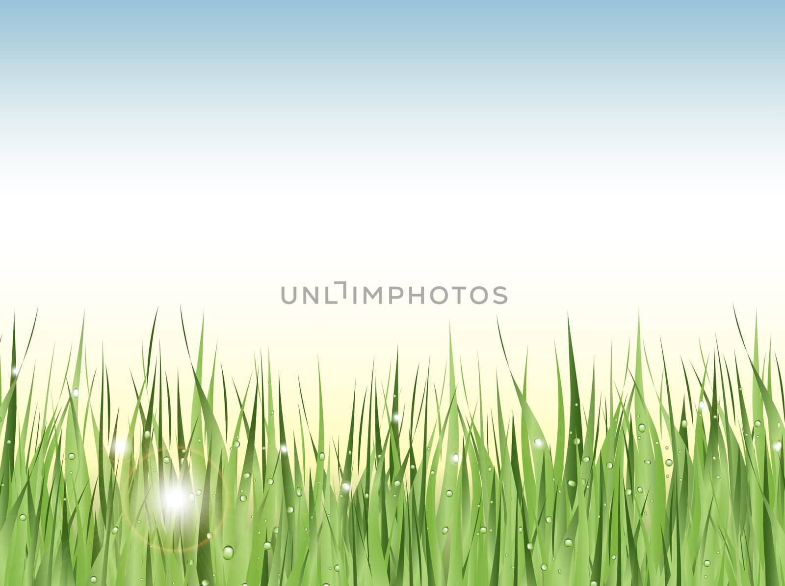 Illustration of green wet grass against blue sky with copyspace