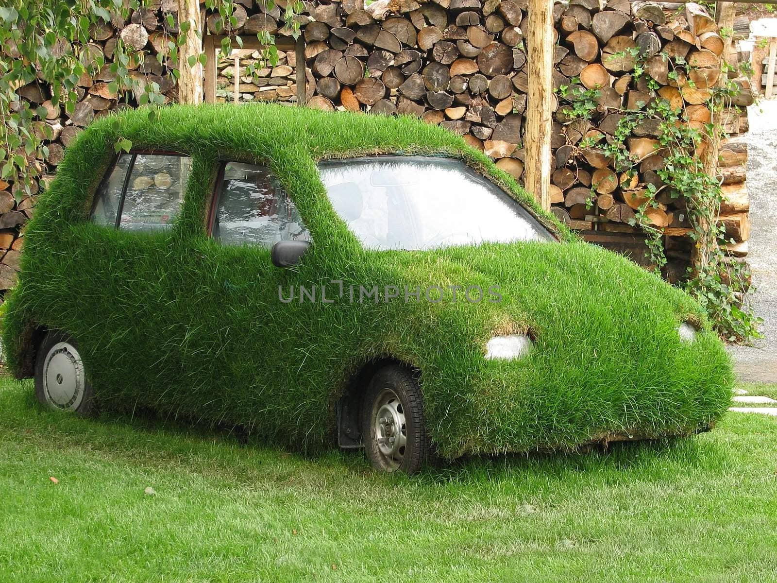 Grass growing on a car