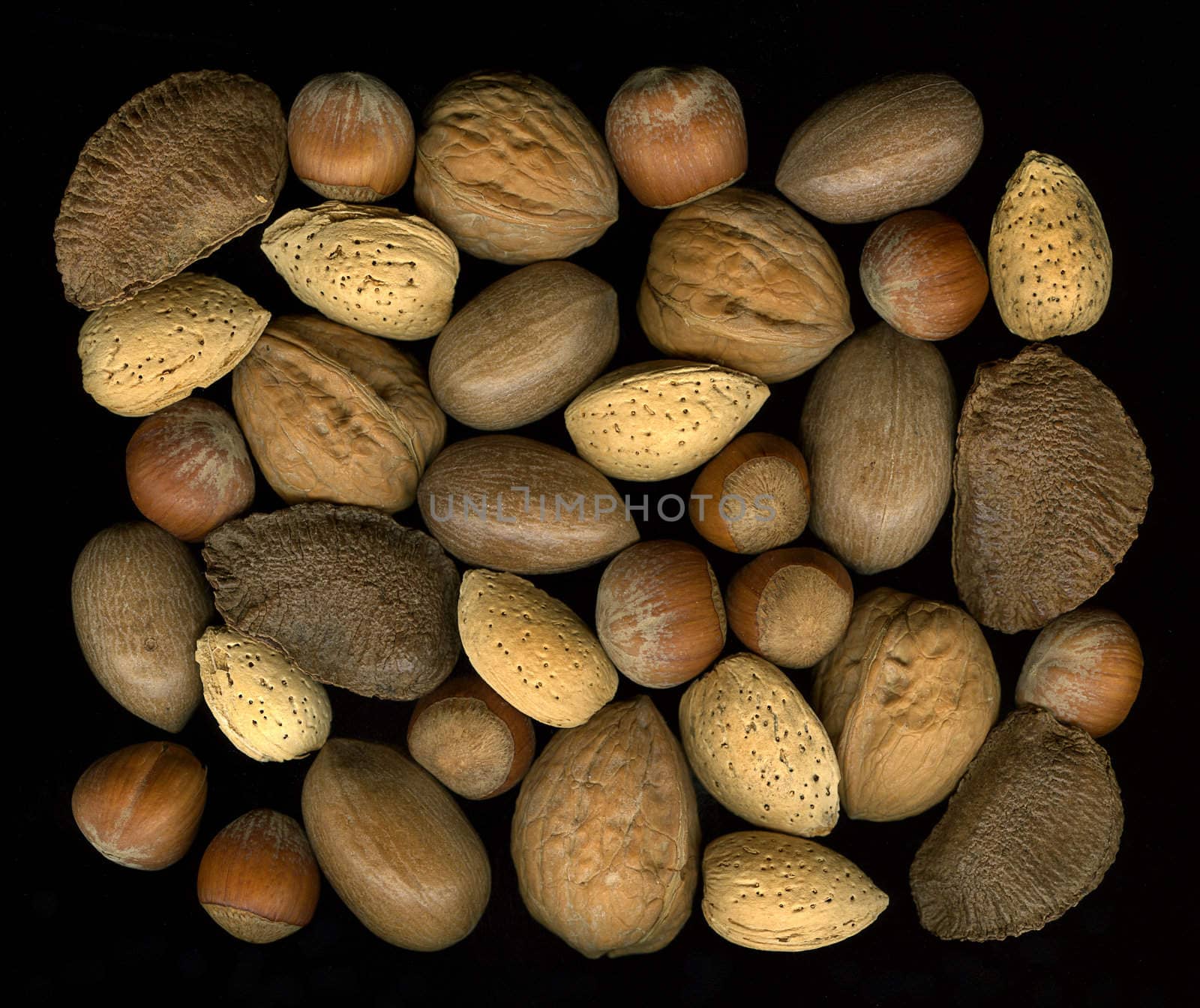 Mix nuts in shells: walnut, hazelnut, pecan, almond, brazil by PixelsAway