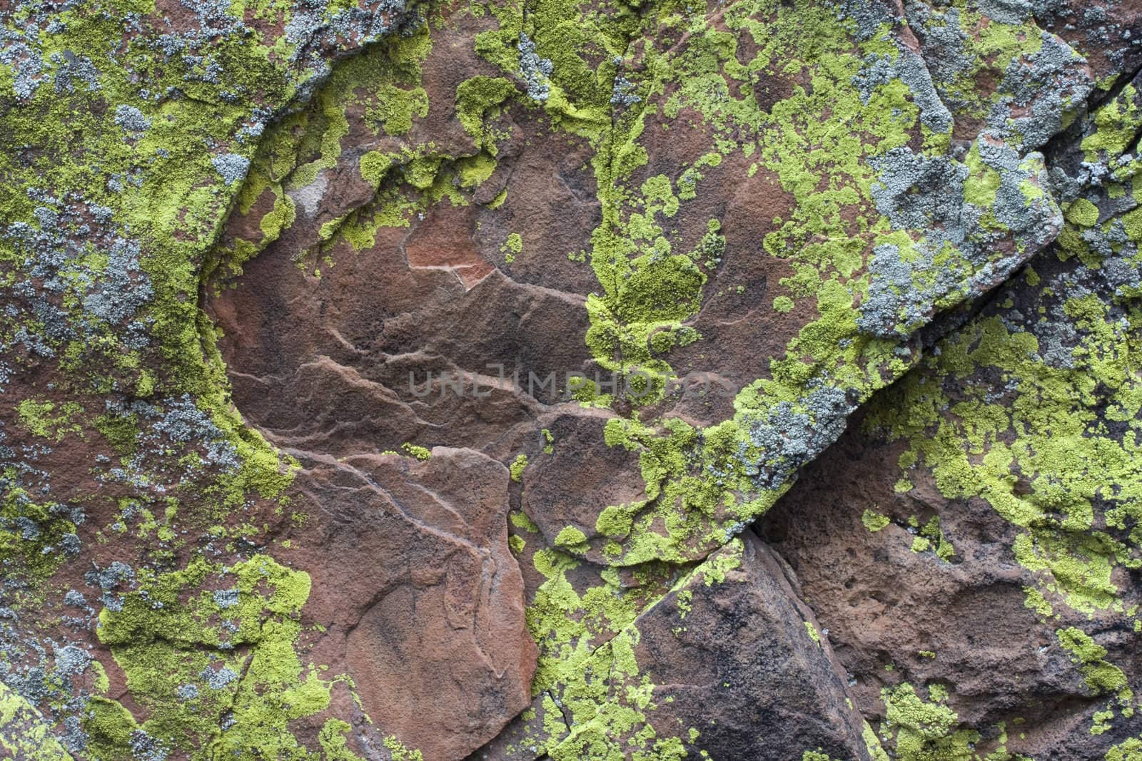 Sandstone rock with silver and green yellow lichen by PixelsAway