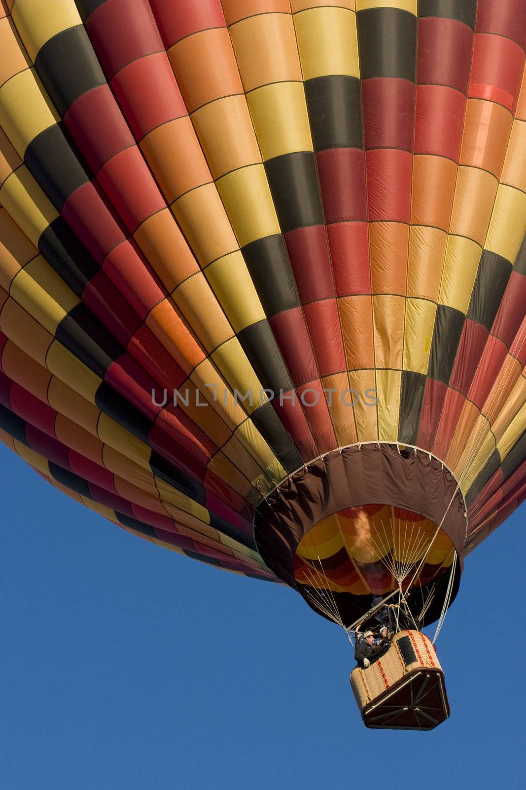 multicolor hot air balloon rising at Akansas Valley Festival by PixelsAway