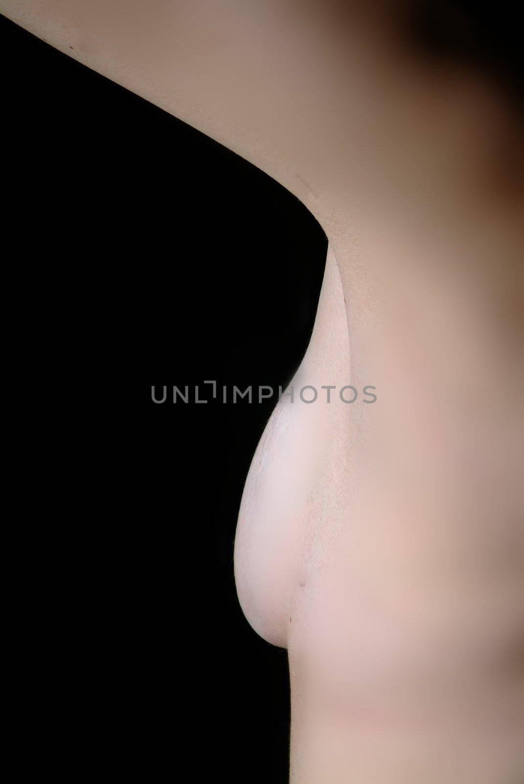 female torso nude