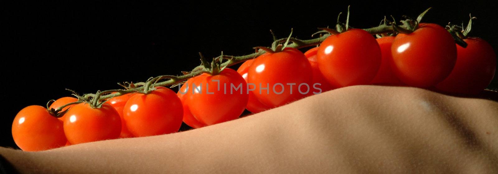 tomatoes on skinny belly