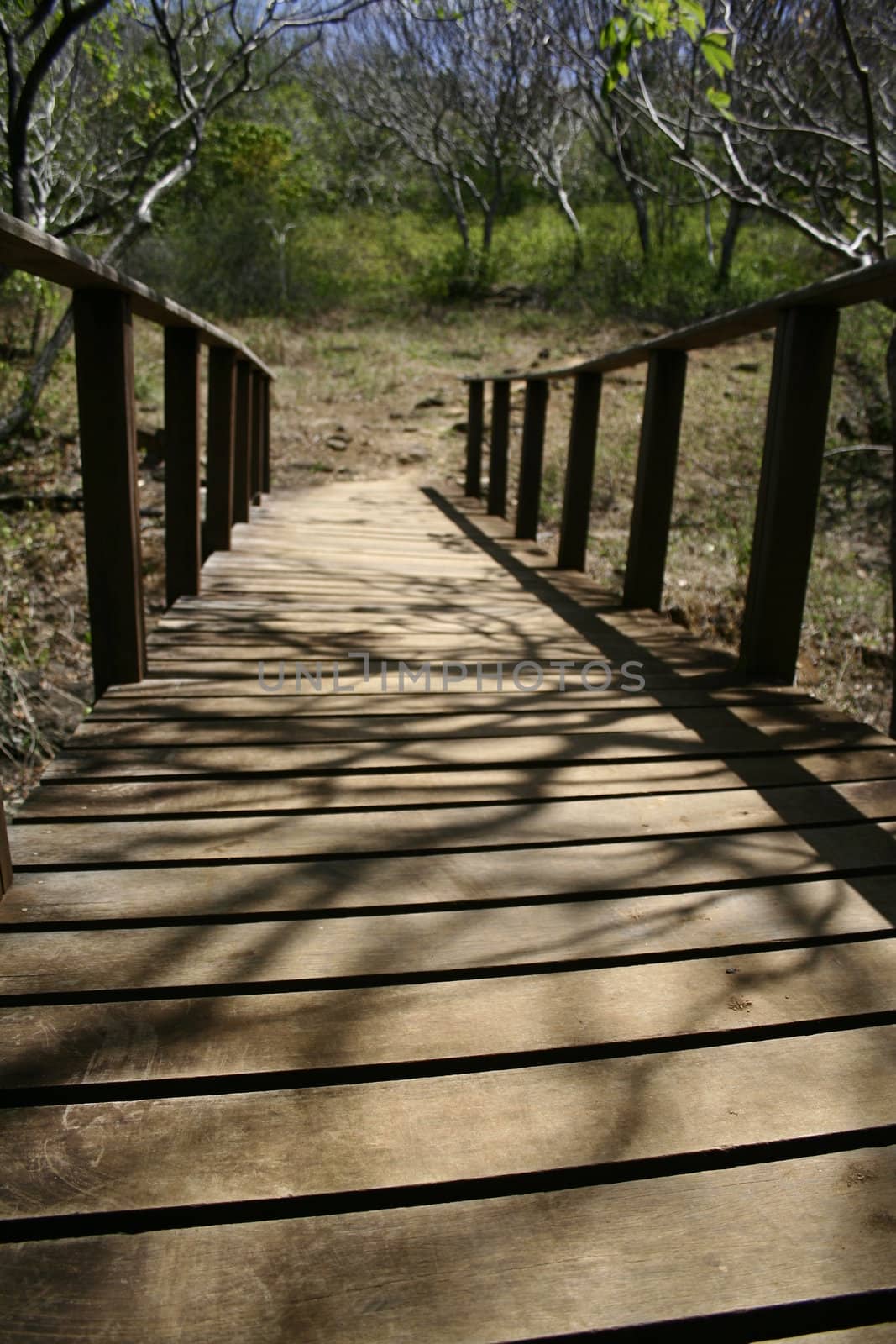 A wooden bridge leading to a path!