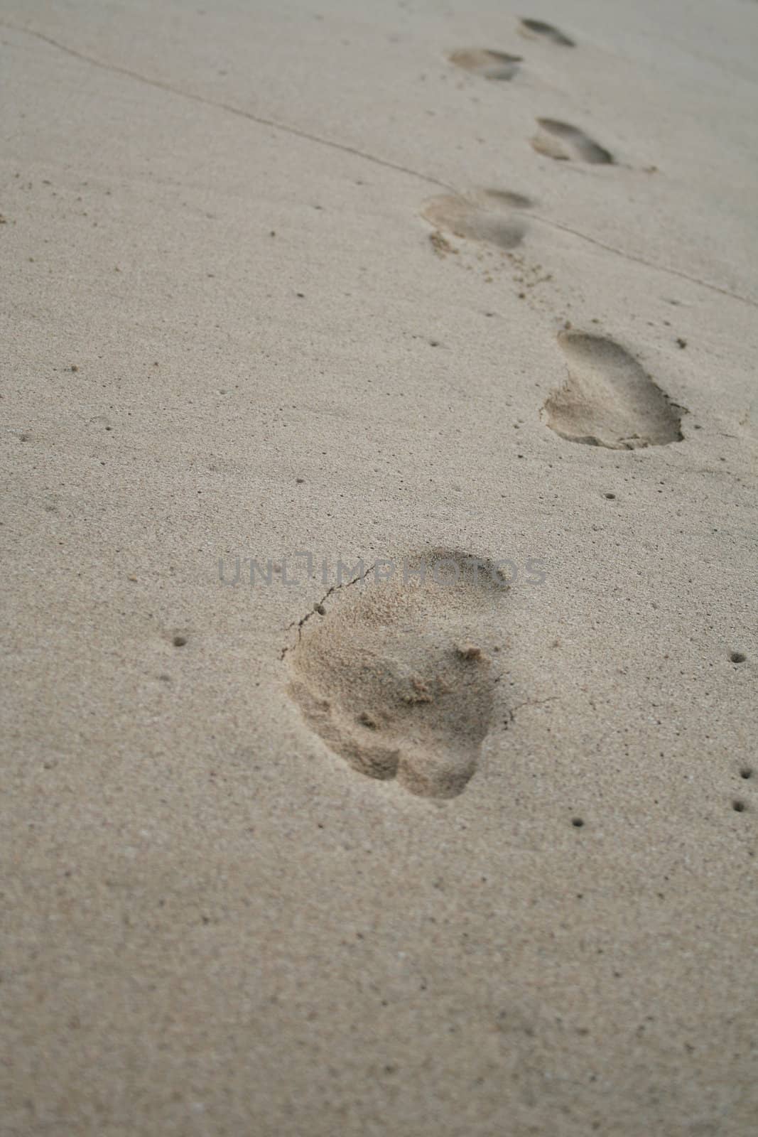 A persons footsteps on the beach, coming towards you, with a selective focus.