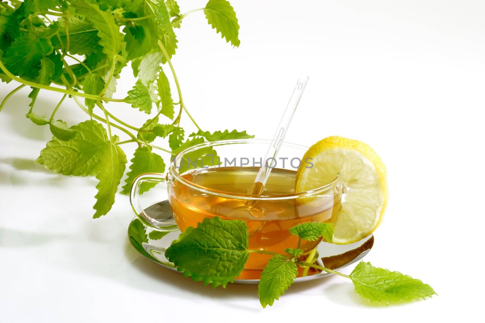 Herbal Tea with Lemon Balm Leaves by Teamarbeit