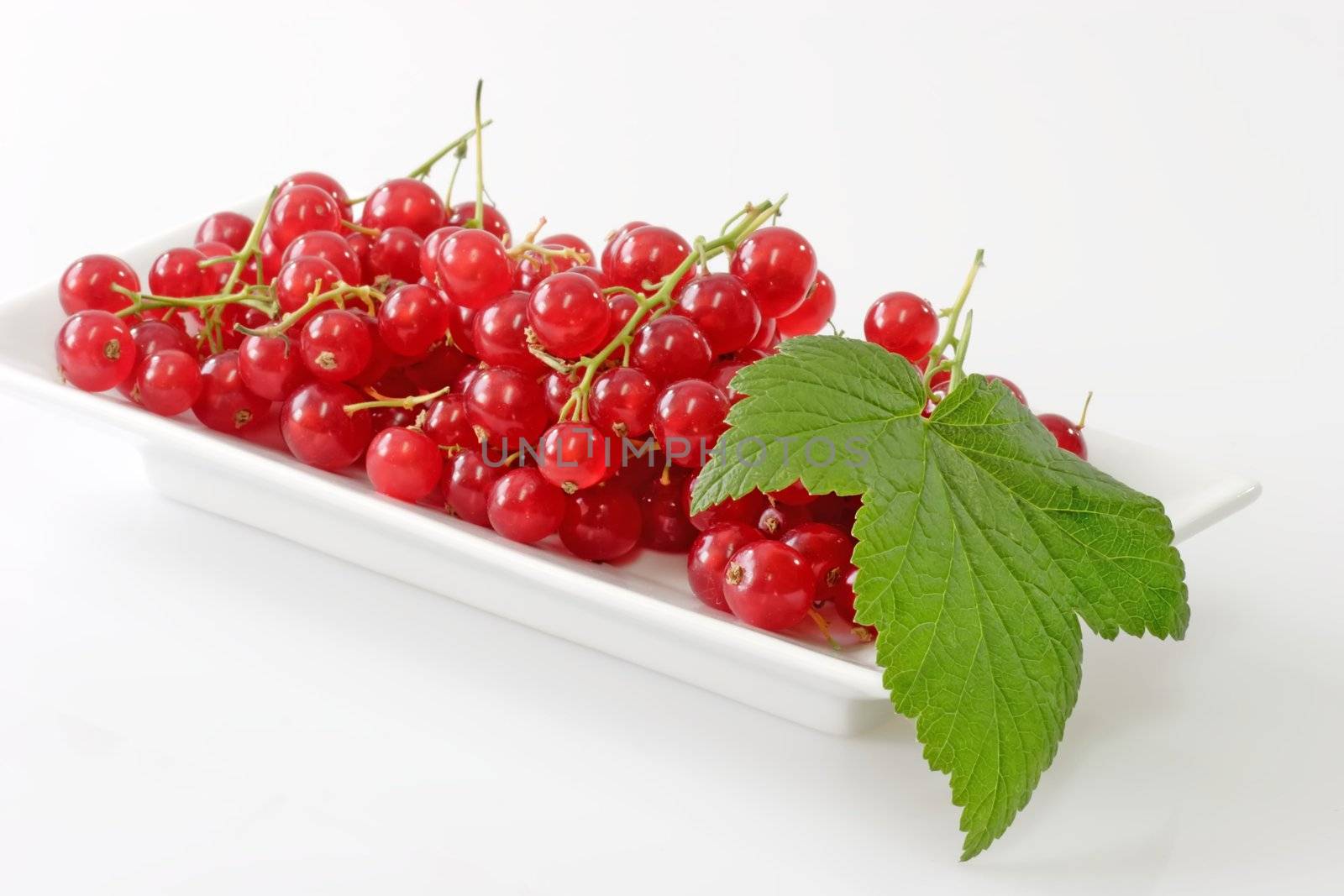 Red currants with leaf on a white plate
