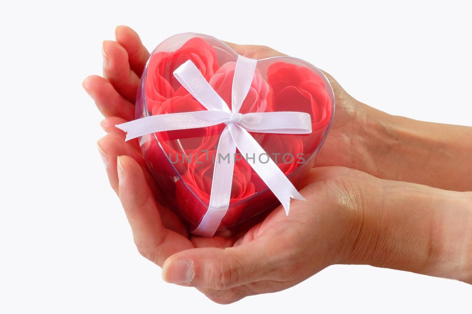 Heart-shaped box of red roses in female hands