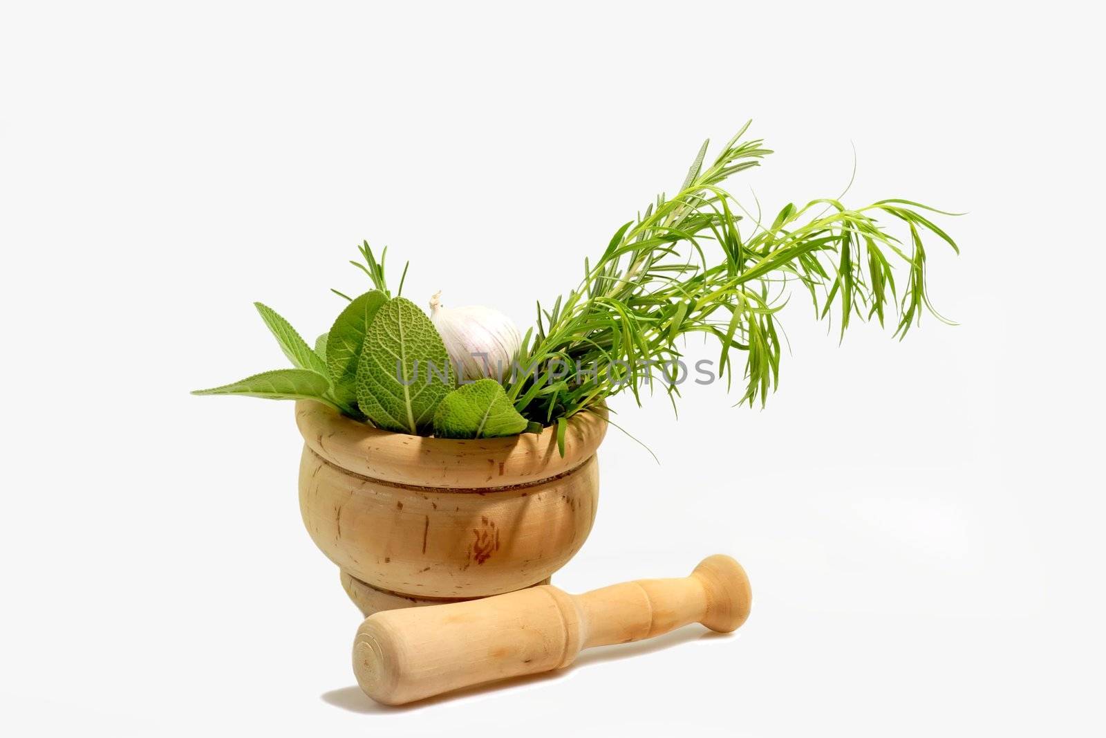Fresh culinary herbs with mortar on light background
