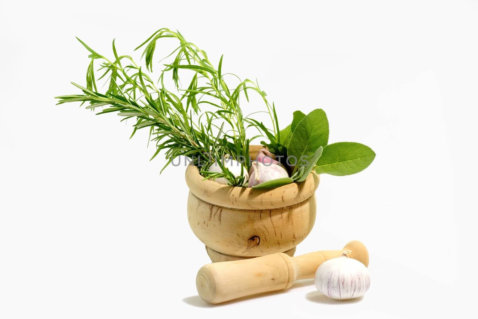 Culinary Herbs by Teamarbeit