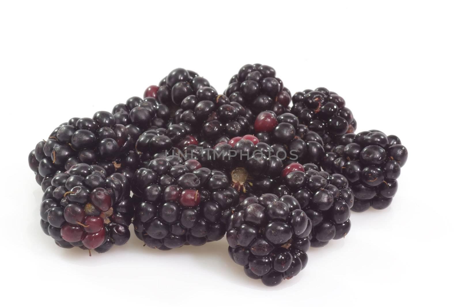 Blackberries by Teamarbeit
