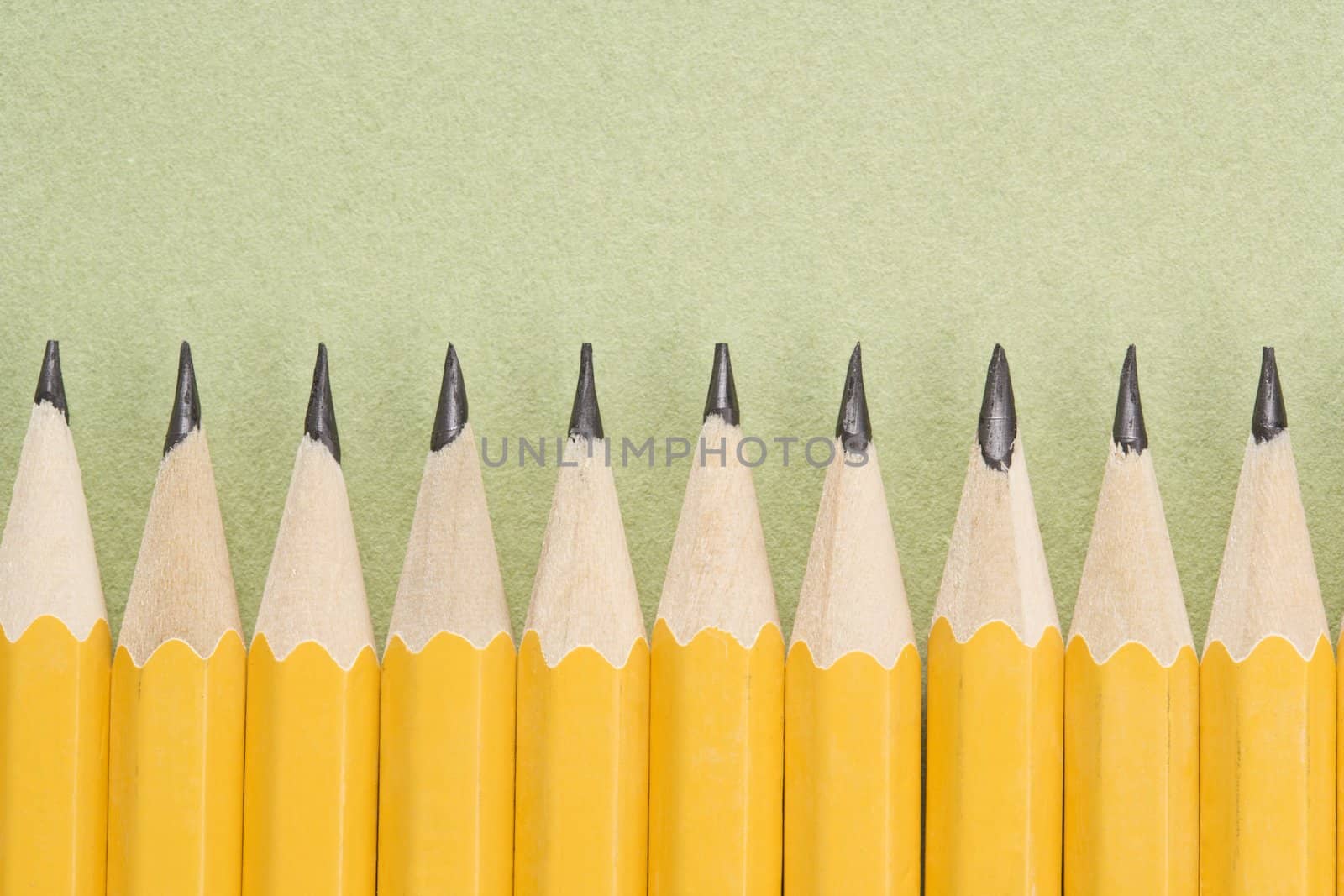 Sharp pencils arranged in an even row.