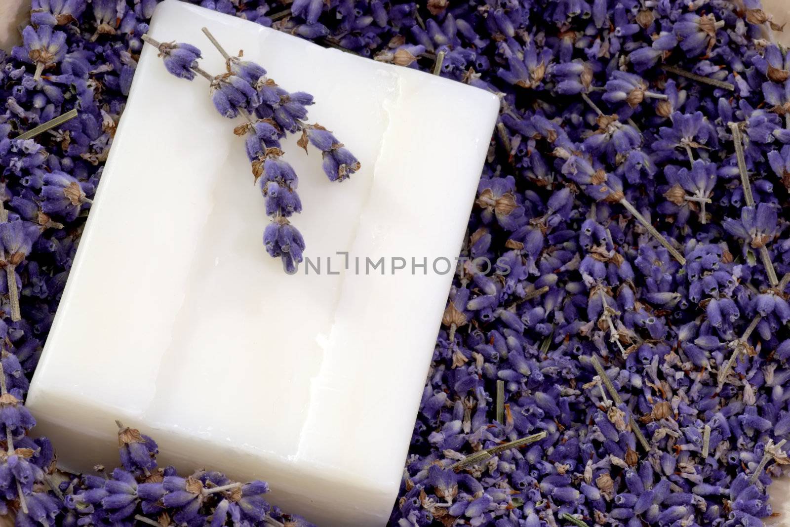 Soap with Lavender by Teamarbeit