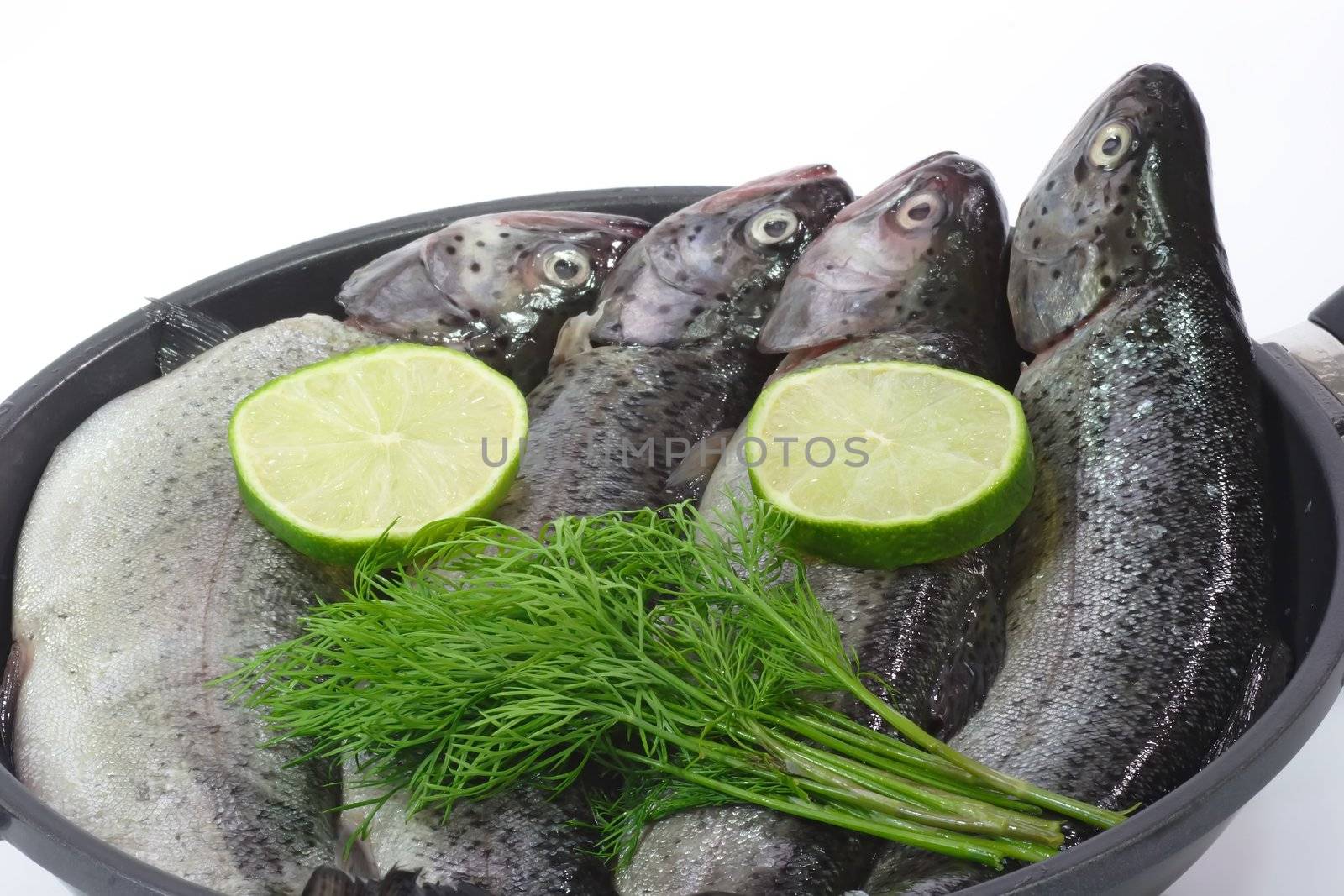 Close-ups of raw rainbow trouts in a pan ready to cook