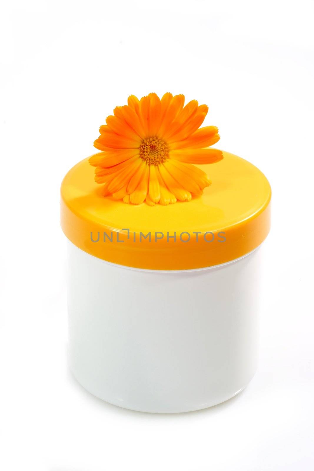 Cream pot with marigold on white background