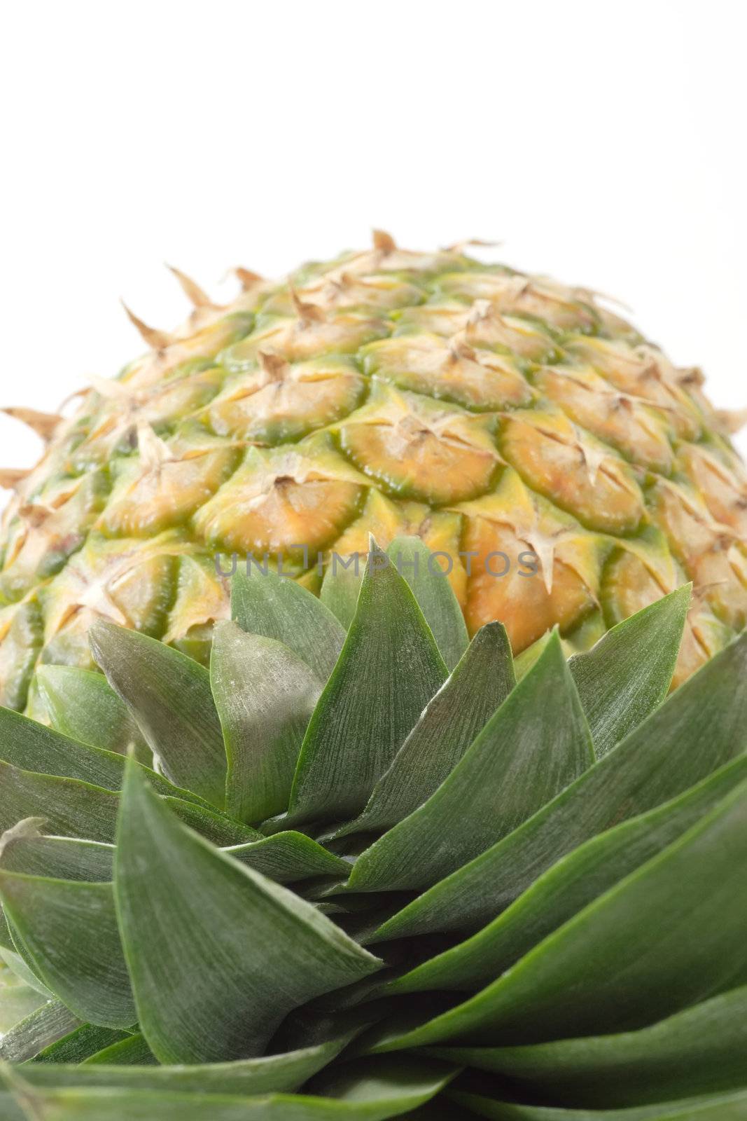 Close up of a pineapple by Teamarbeit