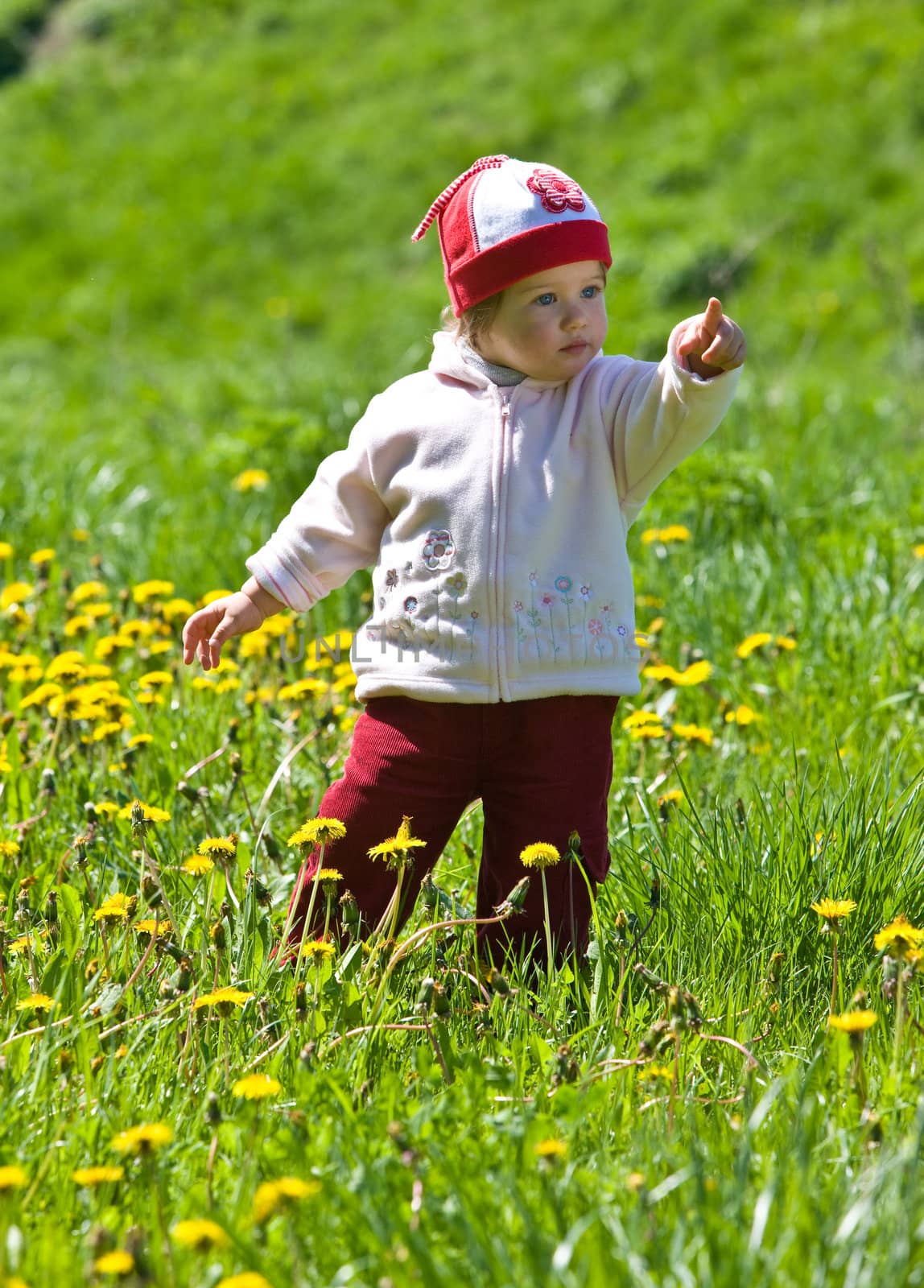 child on the green meadow by agg