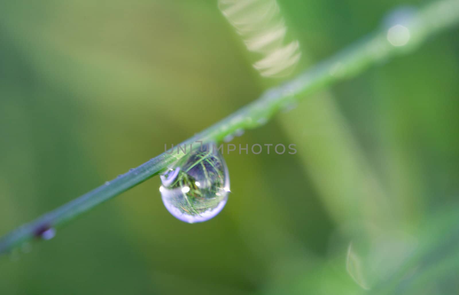 macro shot of waterdrop on blade by Alekcey