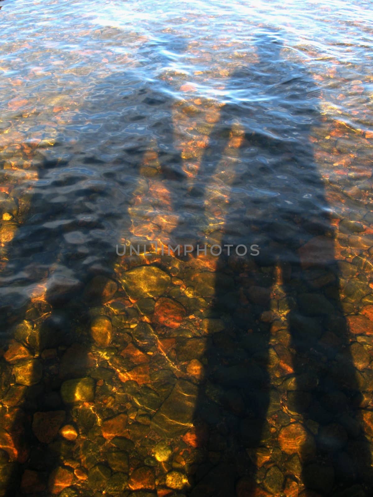 Young pairs shadow on bottom of lake in summer evening