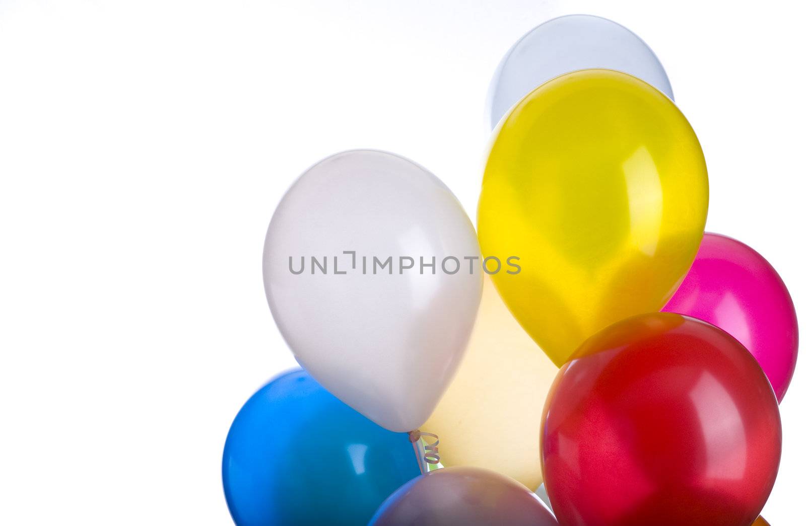 Balloon Bunch With Copy Space by CalamityJohn