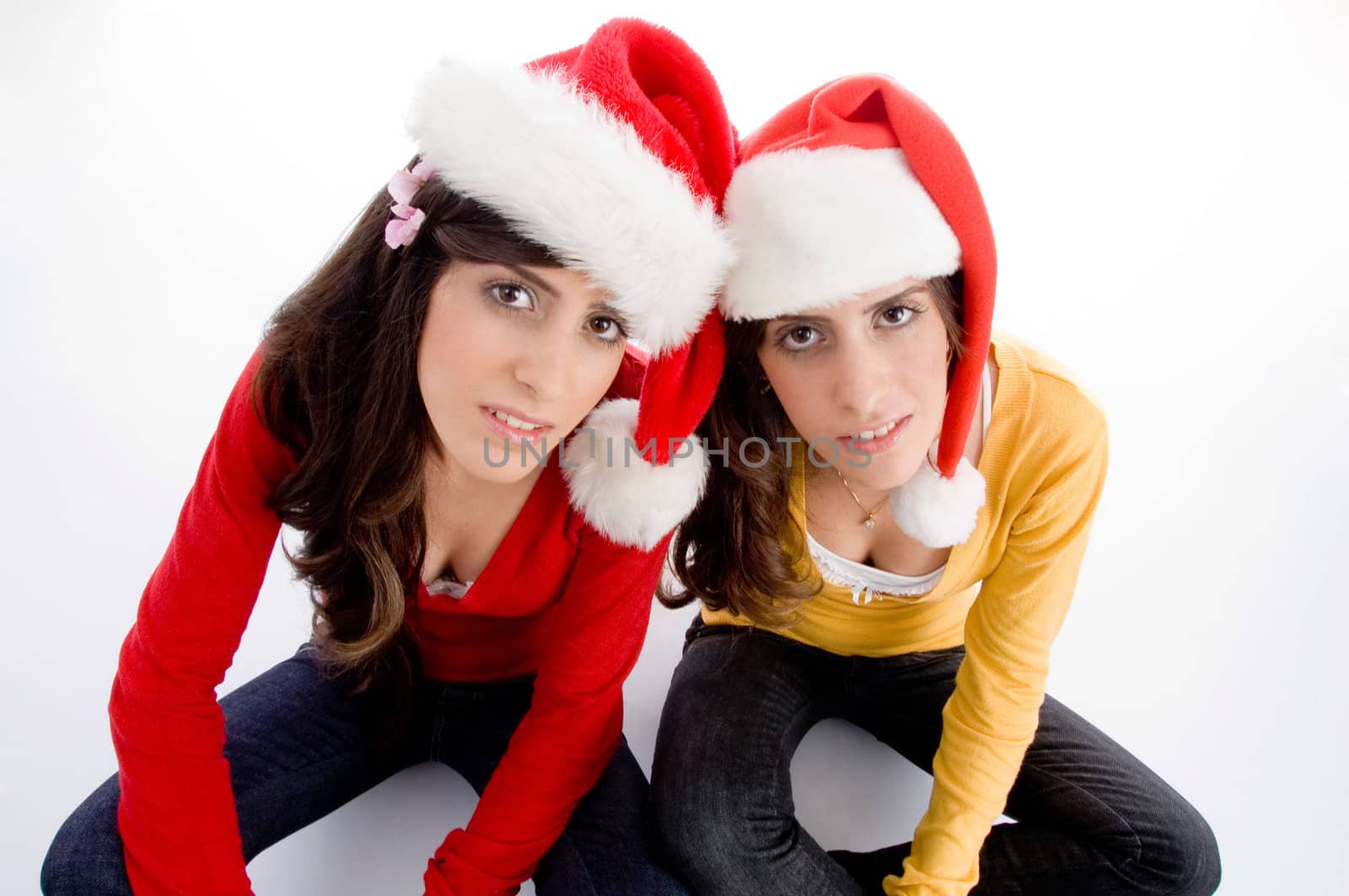 sitting females with christmas hat on an isolated background