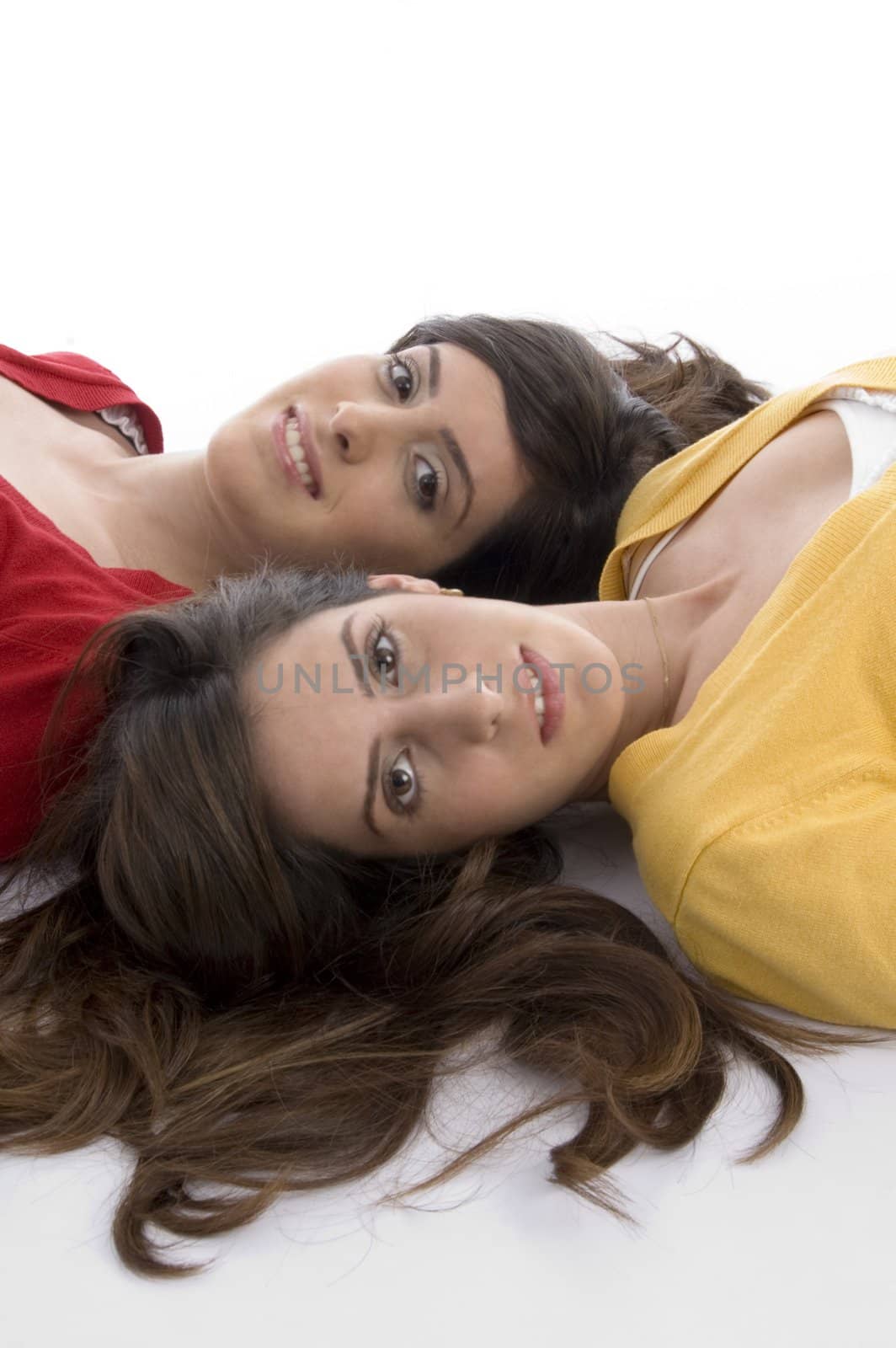 close up view young two cute friends on an isolated white background