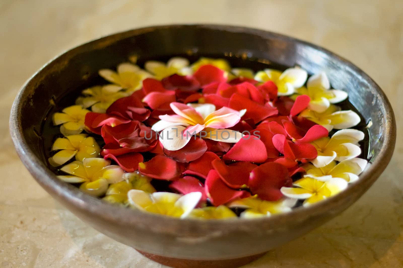 flower petals in a bowl at a spa by noblige
